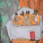 Vraj-Yatra-2014- (2538)
